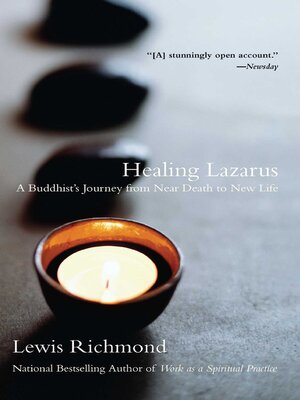 cover image of Healing Lazarus